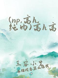 (np,高h,纯肉)高h高辣文