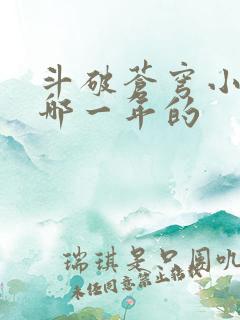 斗破苍穹小说是哪一年的