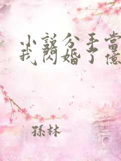 小说分手当天,我闪婚了亿万富豪