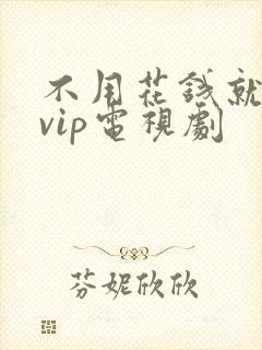 不用花钱就能看vip电视剧