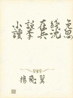 小说在线免费阅读李兵沈思