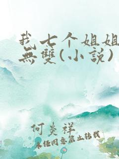我七个姐姐绝世无双(小说)