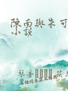 陈南与朱可人的小说