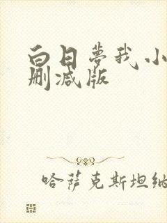 白日梦我小说未删减版