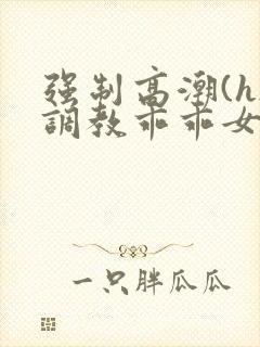 强制高潮(h)调教乖乖女小说
