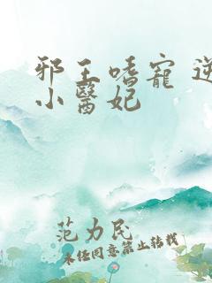 邪王嗜宠 逆天小医妃
