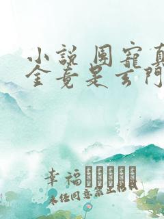 小说 团宠真千金竟是玄门大佬