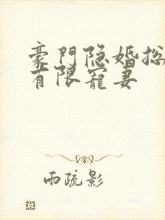 豪门隐婚总裁的有限宠妻