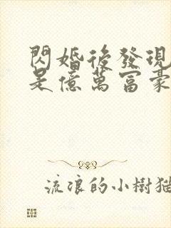 闪婚后发现老公是亿万富豪 完结
