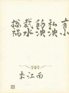 总裁的私有宝贝祸水泱泱小说免费阅读