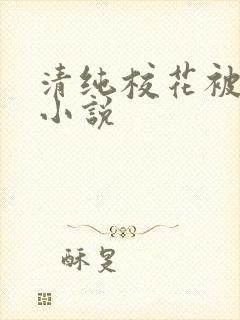 清纯校花被调教小说