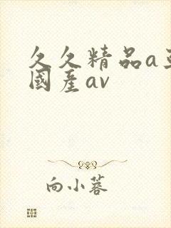 久久精品a亚洲国产av