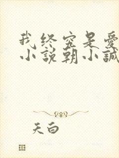 我终究是爱你的小说朝小诚