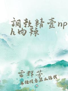 调教精壶np高h肉辣