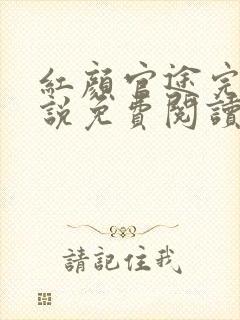 红颜官途完整小说免费阅读