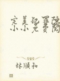 完美犯罪陈树苏小小免费阅读全文