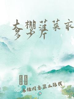 大棚菠菜亩产量多少斤