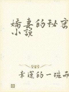 娇妻的秘密日记小说