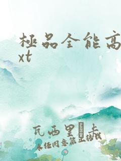 极品全能高手txt
