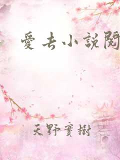 爱去小说阅读网