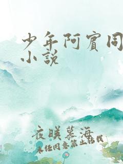 少年阿宾同类型小说