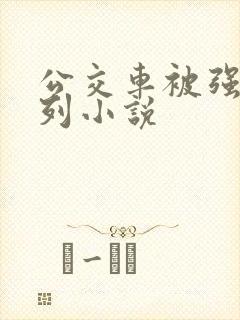 公交车被强d系列小说