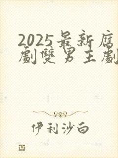 2025最新腐剧双男主剧台剧