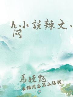 h小说辣文小说网