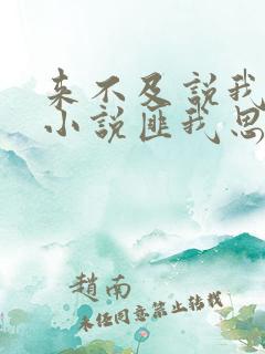 来不及说我爱你小说匪我思存
