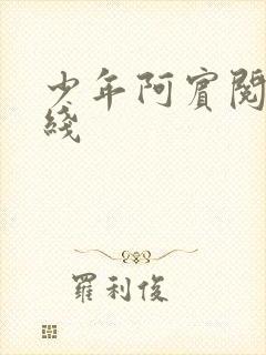 少年阿宾阅读在线