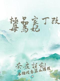 极品家丁改编册母为妃