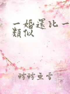 一婚还比一婚高类似