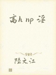 高h np 淫