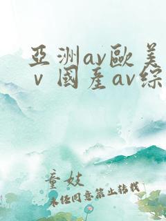 亚洲av欧美aⅴ国产av综合