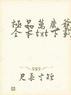 极品万岁爷小说全本txt下载