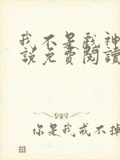 我不是戏神的小说免费阅读