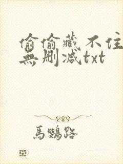 偷偷藏不住全文无删减txt