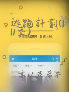 逃跑计划(I II季)