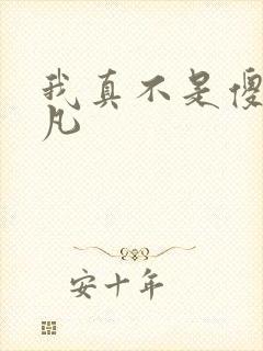我真不是傻子叶凡