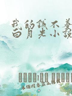 我的钱不养你的白月光小说免费阅读