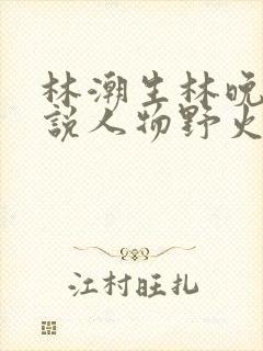 林潮生林晚晚小说人物野火笔趣阁