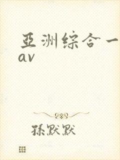 亚洲综合一区二av
