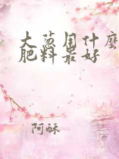 大葱用什么冲施肥料最好