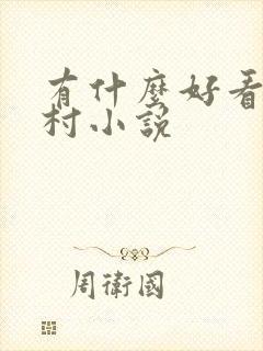 有什么好看的乡村小说