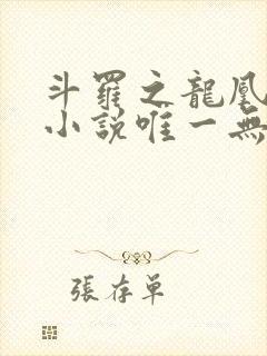 斗罗之龙凰传说小说唯一无双