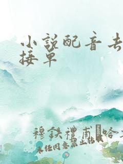 小说配音去哪里接单