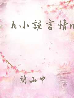 h小说言情np