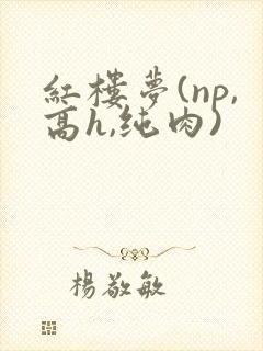 红楼梦(np,高h,纯肉)