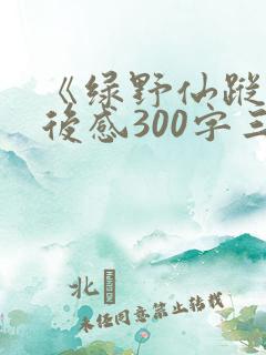 《绿野仙踪》读后感300字三年级