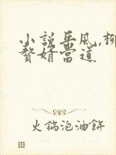 小说岳风,柳萱赘婿当道